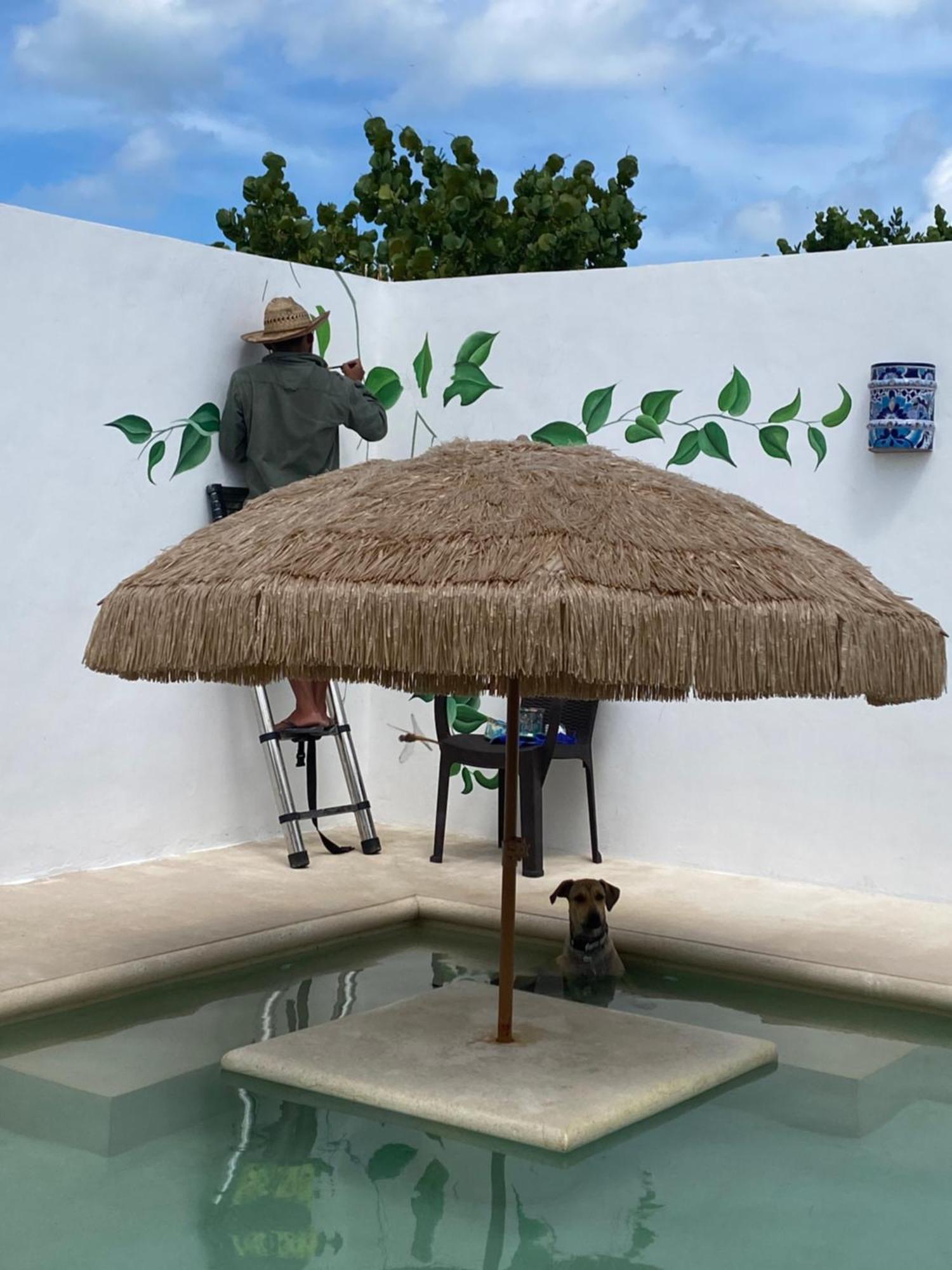Ferienwohnung Casa Loto B Chelem Exterior foto